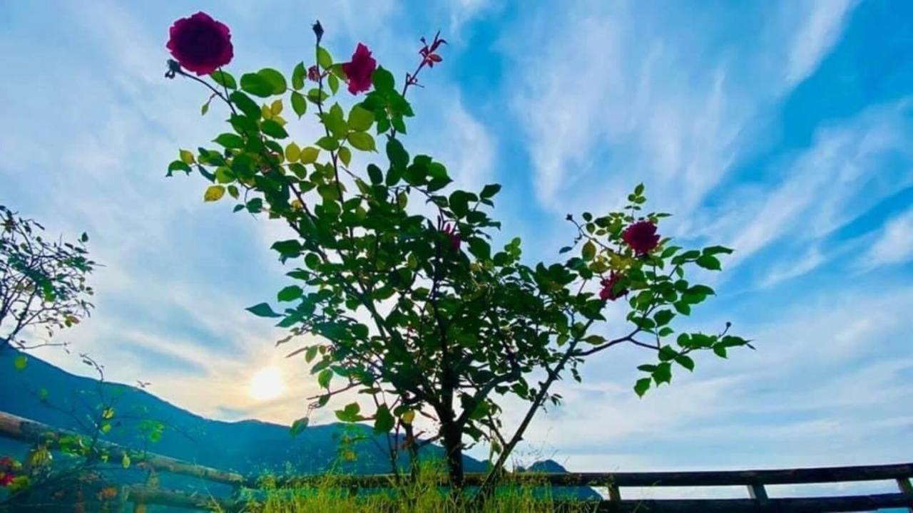 Ha Lu Homestay Lào Cai Ngoại thất bức ảnh